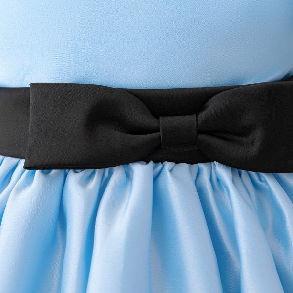 ALICE COSTUME